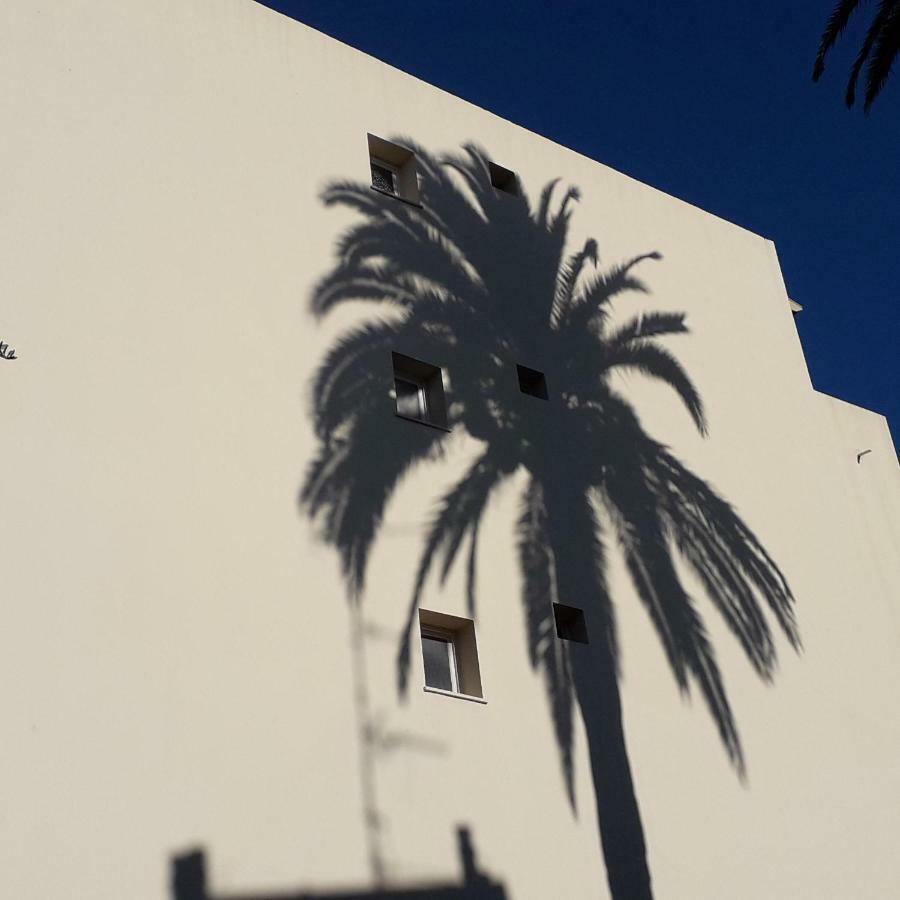 Apartamento Les Pins . 2 P Calme Et Terrasse Niza Exterior foto